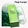Pine Forest  + SR.0.71 