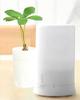 ناشر رائحة USB صغير / مرطب عطري مع مصابيح LED بيضاء دافئة (أبيض) ناشر رائحة USB صغير / مرطب عطري مع مصابيح LED بيضاء دافئة (أبيض)