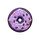Hyb237-08 