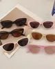Small frame wine Ain Cat sunglasses women brand designer Tawny Tawny Glasses Outdoor Men Outth Out Outside Over Ove Small frame wine Ain Cat sunglasses women brand designer Tawny Tawny Glasses Outdoor Men Outth Out Outside Over Ove